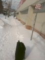 20110214101826