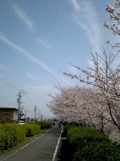 f:id:tky-a:20110410111129j:image f:id:tky-a:20110410111129j:image