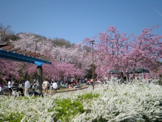 f:id:tky-a:20110410134353j:image f:id:tky-a:20110410134353j:image