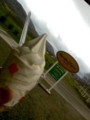 20110505115607