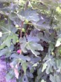 20110827175446