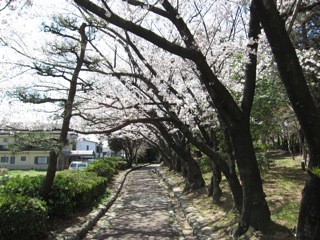 f:id:tky-a:20120408114410j:image f:id:tky-a:20120408114410j:image