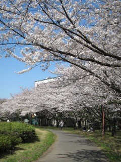 f:id:tky-a:20120408135030j:image f:id:tky-a:20120408135030j:image