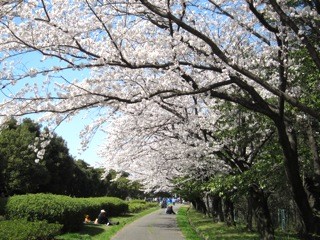 f:id:tky-a:20120408135223j:image f:id:tky-a:20120408135223j:image