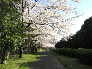 f:id:tky-a:20120408155325j:image f:id:tky-a:20120408155325j:image