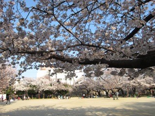 f:id:tky-a:20120408162922j:image f:id:tky-a:20120408162922j:image