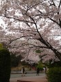 20130402085905
