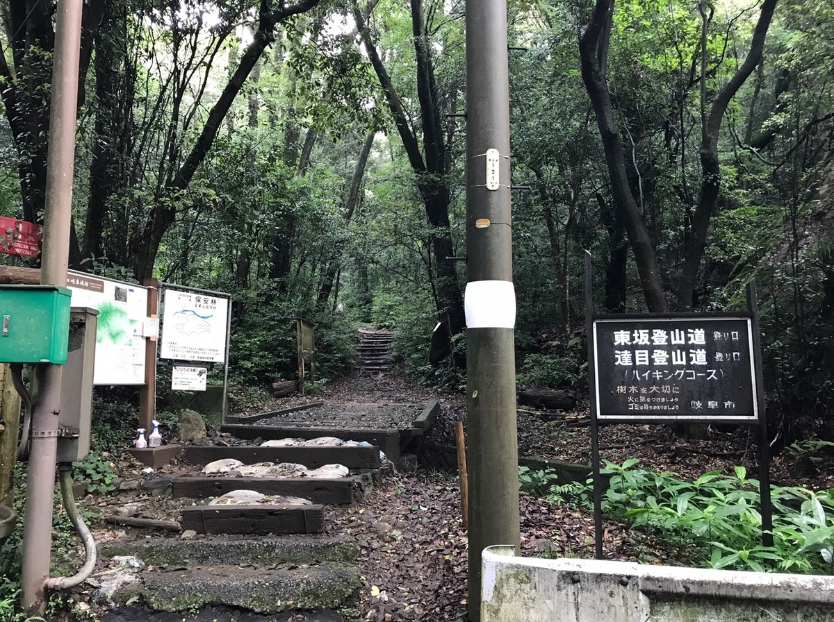 ドライブウェイから登山道へ