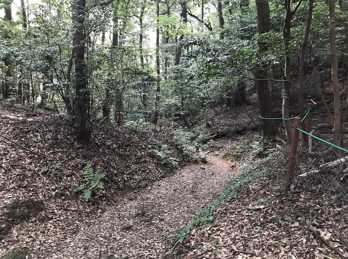 達目洞方面は下り