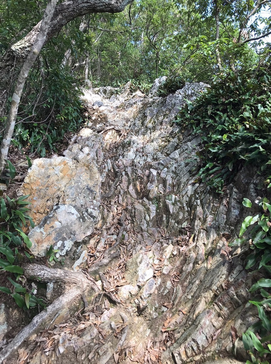 こんな岩の道を登ります