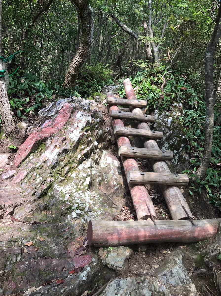 また短いはしごが