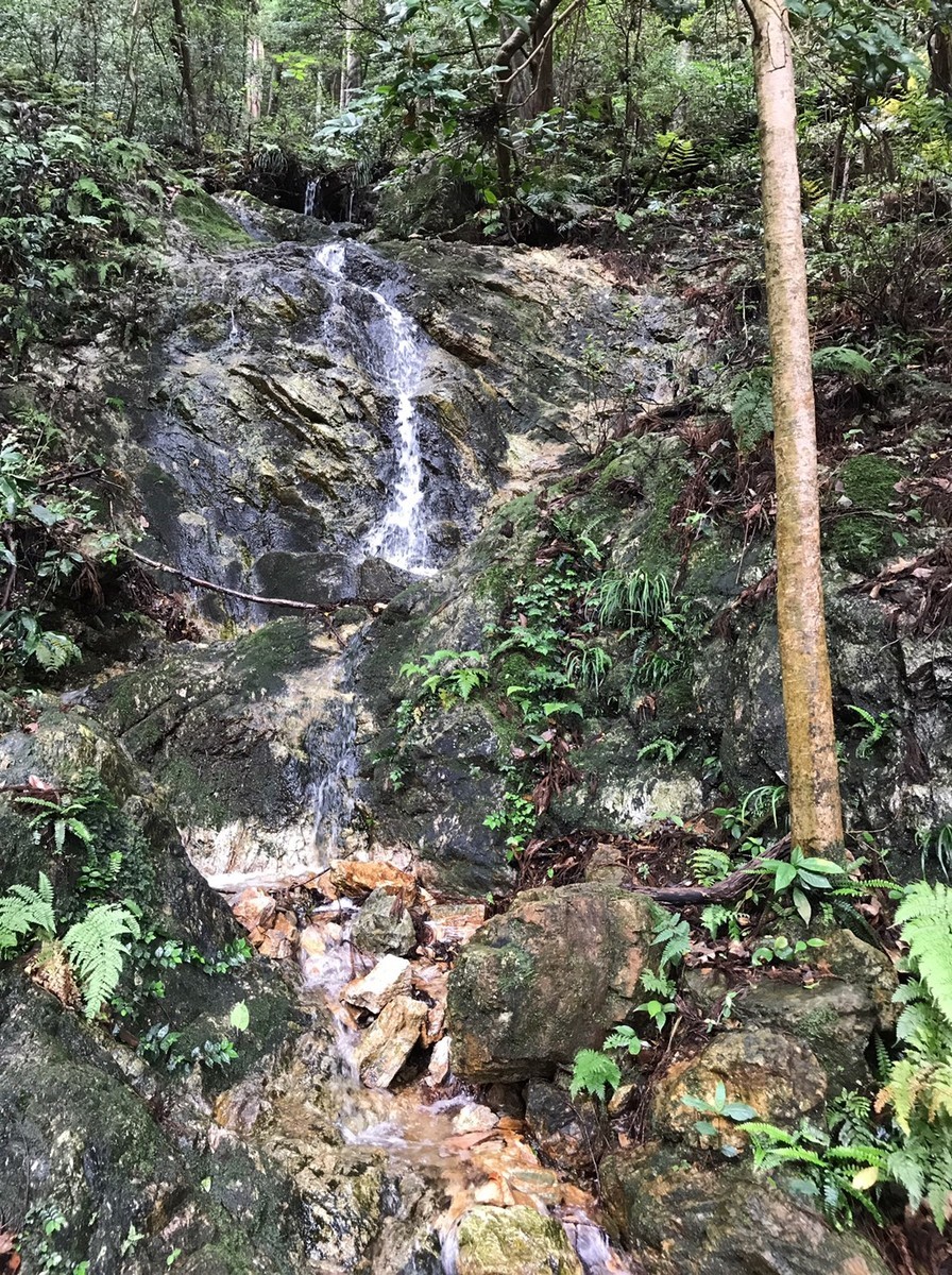 ちょっとした滝