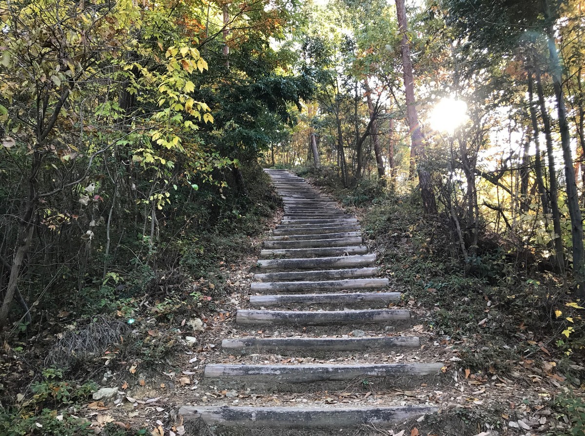 f:id:tky-a:20191201093714j:plain