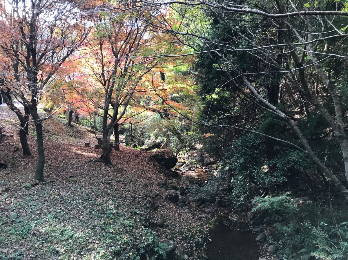 f:id:tky-a:20191201100816j:plain