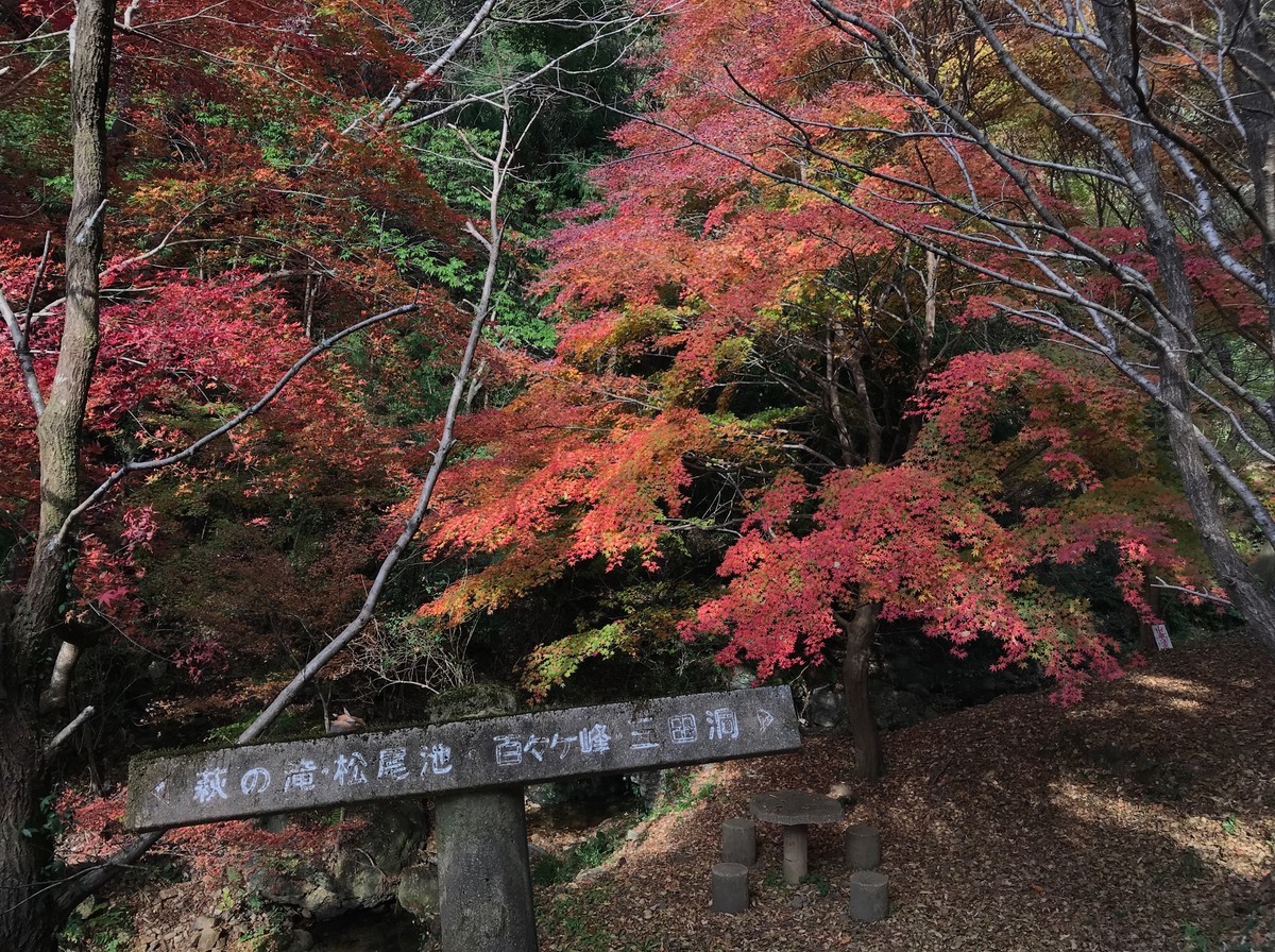 f:id:tky-a:20191201100855j:plain