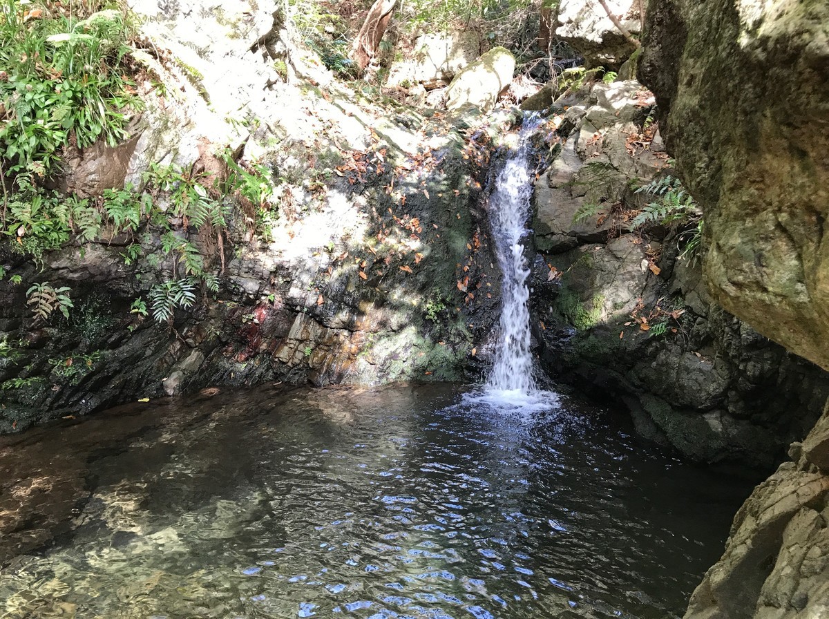 f:id:tky-a:20191201101125j:plain