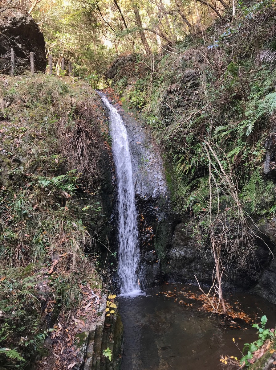 f:id:tky-a:20191201101314j:plain