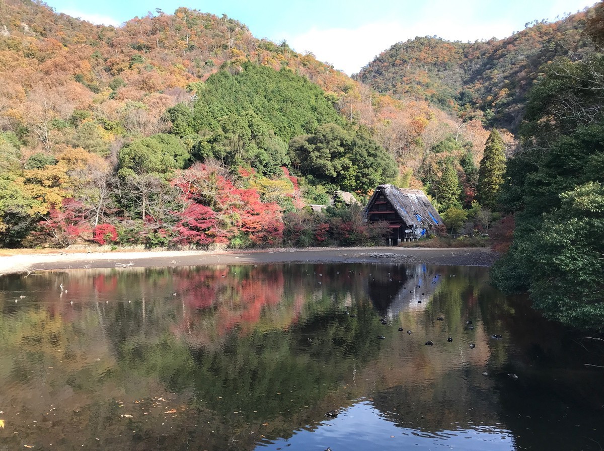 f:id:tky-a:20191201101825j:plain