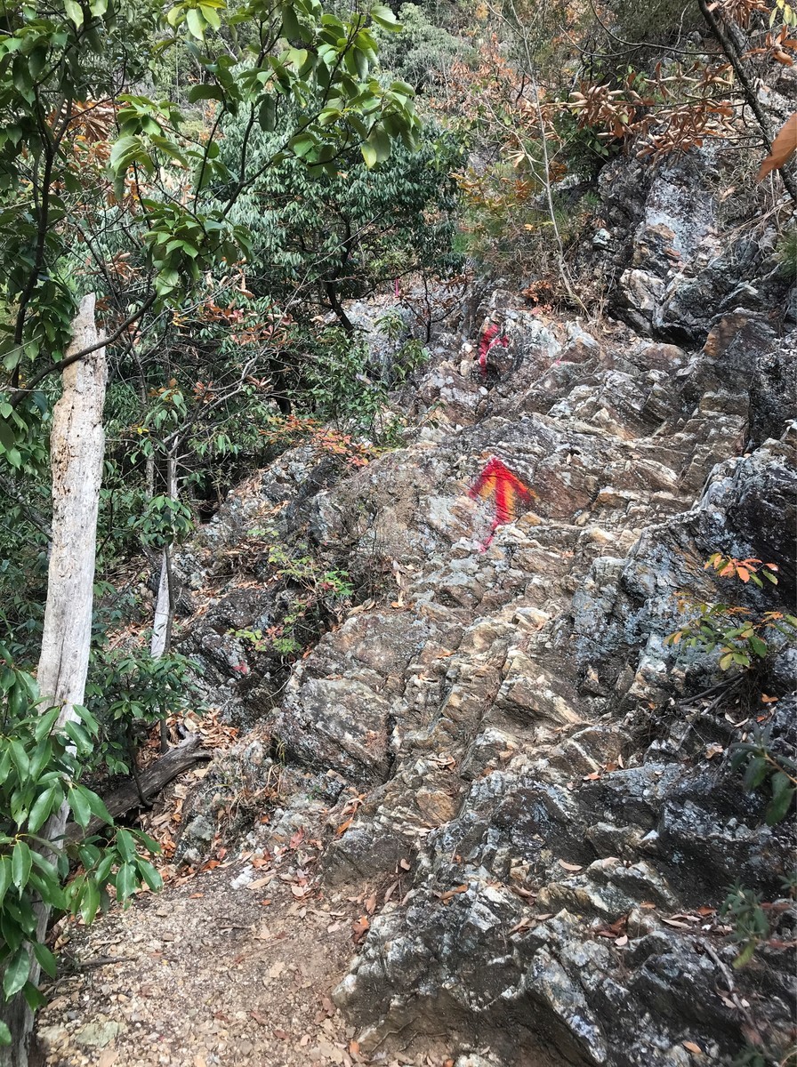 f:id:tky-a:20191201103248j:plain