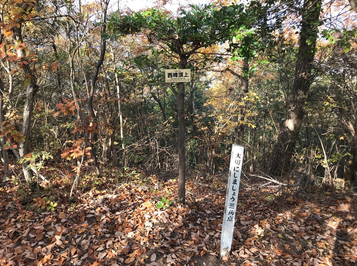 f:id:tky-a:20191201110833j:plain