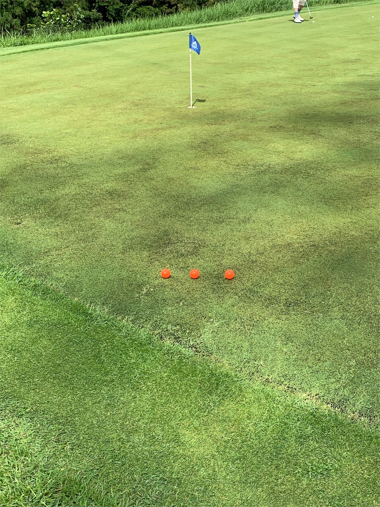 f:id:tlb_life_sakai:20190825173604j:image f:id:tlb_life_sakai:20190825173604j:image