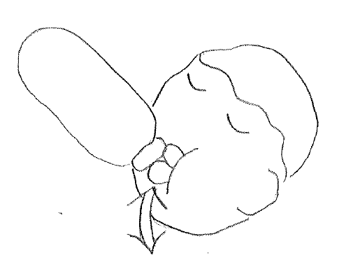 自分は赤ちゃんであると思い込め