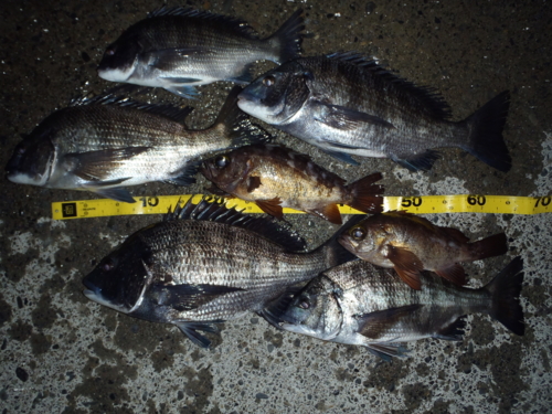 f:id:tlq:20120222001909j:image