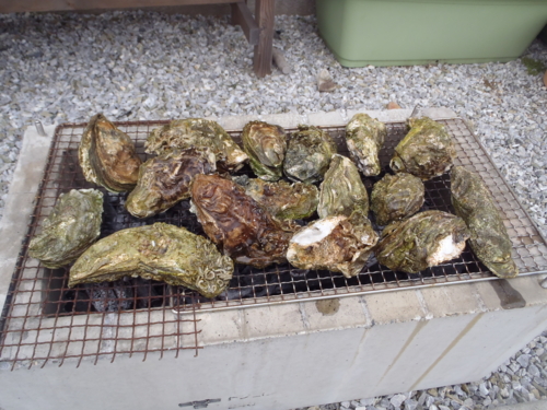 f:id:tlq:20120222162446j:image