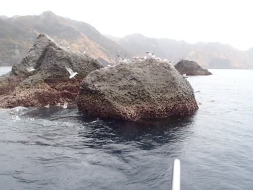 f:id:tlq:20120309140300j:image