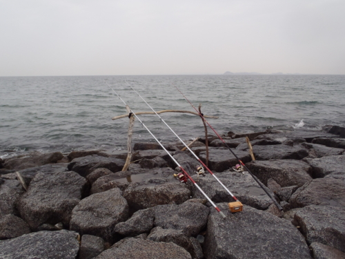 f:id:tlq:20120323072325j:image