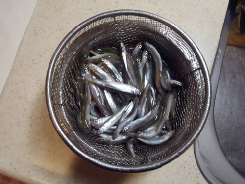 f:id:tlq:20120324180752j:image