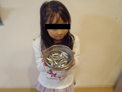 f:id:tlq:20120325175848j:image