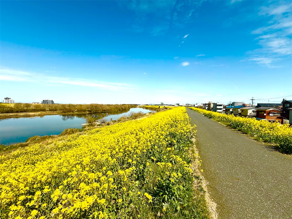 f:id:tm-arakawa:20260315222929j:image f:id:tm-arakawa:20260315222929j:image