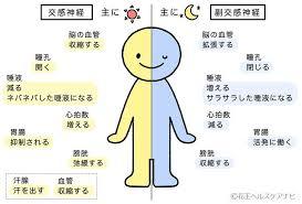 f:id:tmatsu06:20191201105538j:plain f:id:tmatsu06:20191201105538j:plain