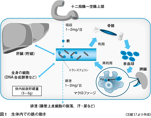 f:id:tmatsu06:20191201105919j:plain f:id:tmatsu06:20191201105919j:plain