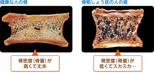 f:id:tmatsu06:20191202213616j:plain f:id:tmatsu06:20191202213616j:plain