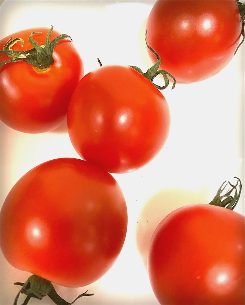 f:id:tmatsu06:20191215114724j:image