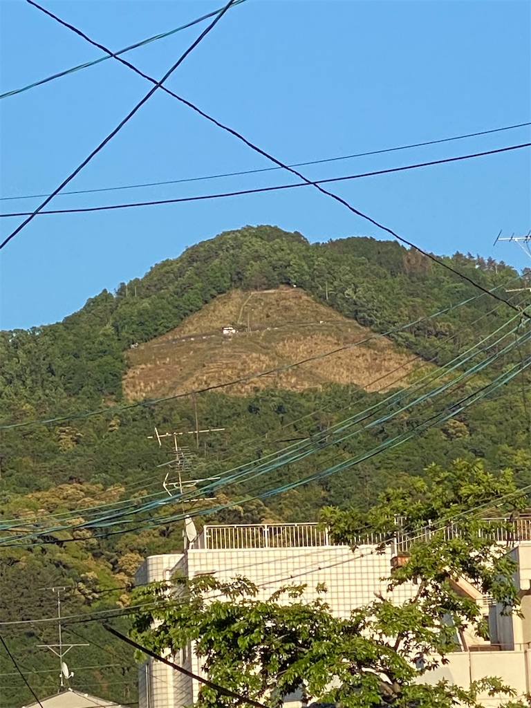 f:id:tmatsu06:20200513204717j:image