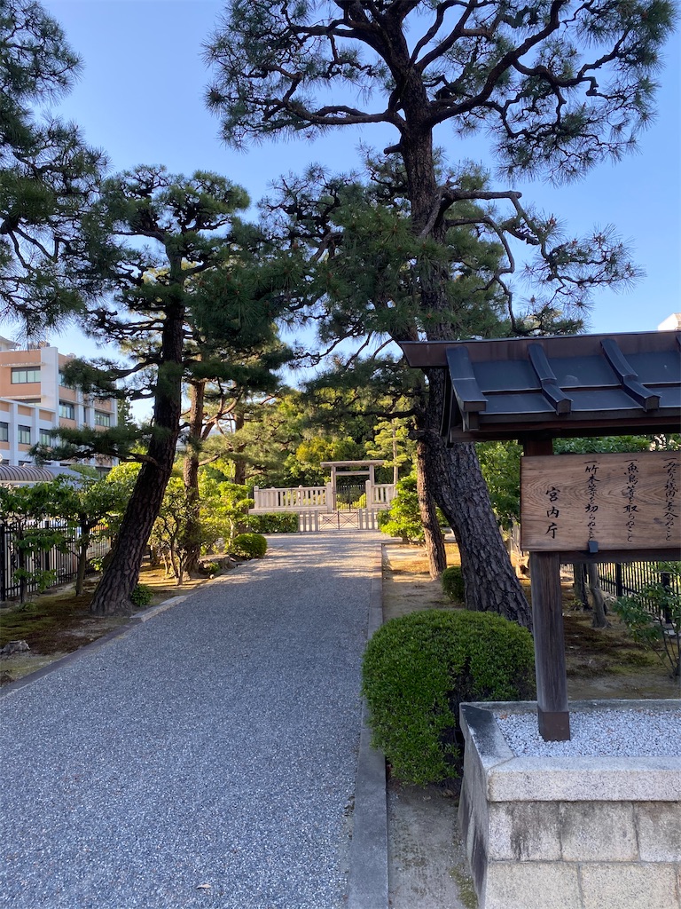f:id:tmatsu06:20200513204827j:image