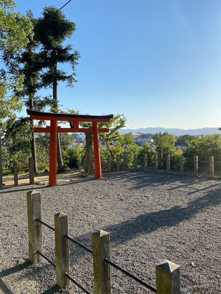 f:id:tmatsu06:20200513204911j:image