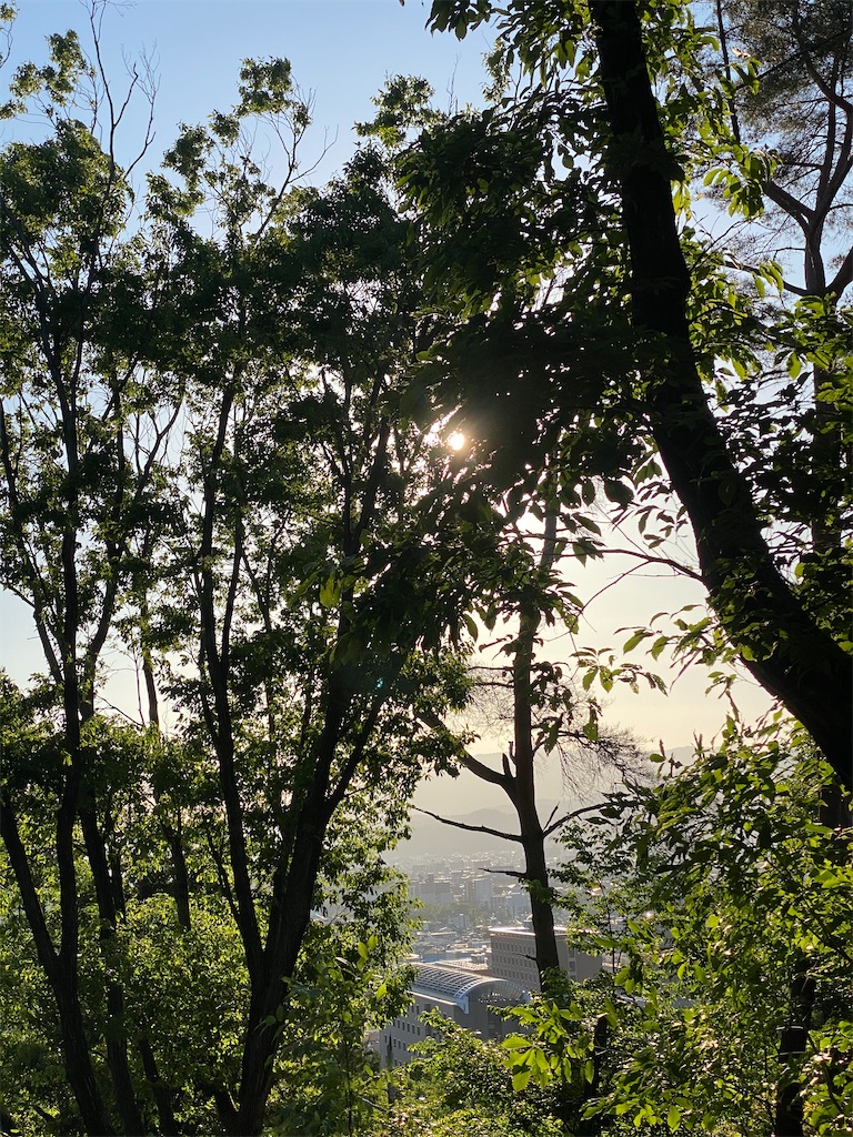 f:id:tmatsu06:20200513205024j:image