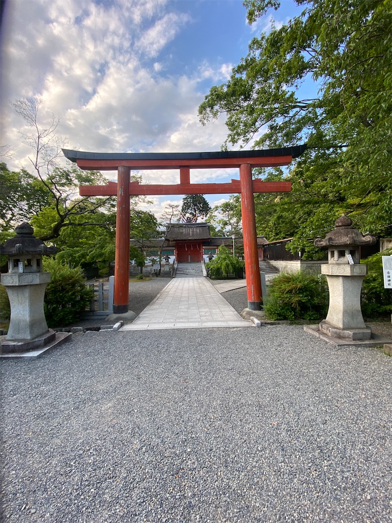 f:id:tmatsu06:20200514040337j:image