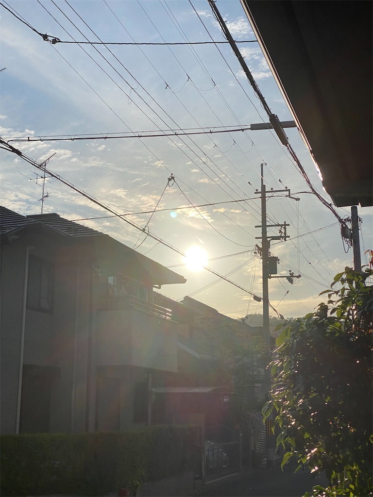 f:id:tmatsu06:20200514211754j:image