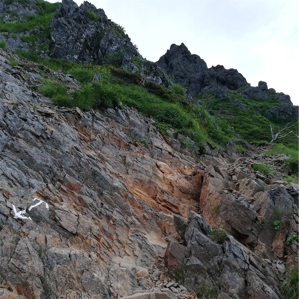 f:id:tmdrum:20180730223151j:image f:id:tmdrum:20180730223151j:image