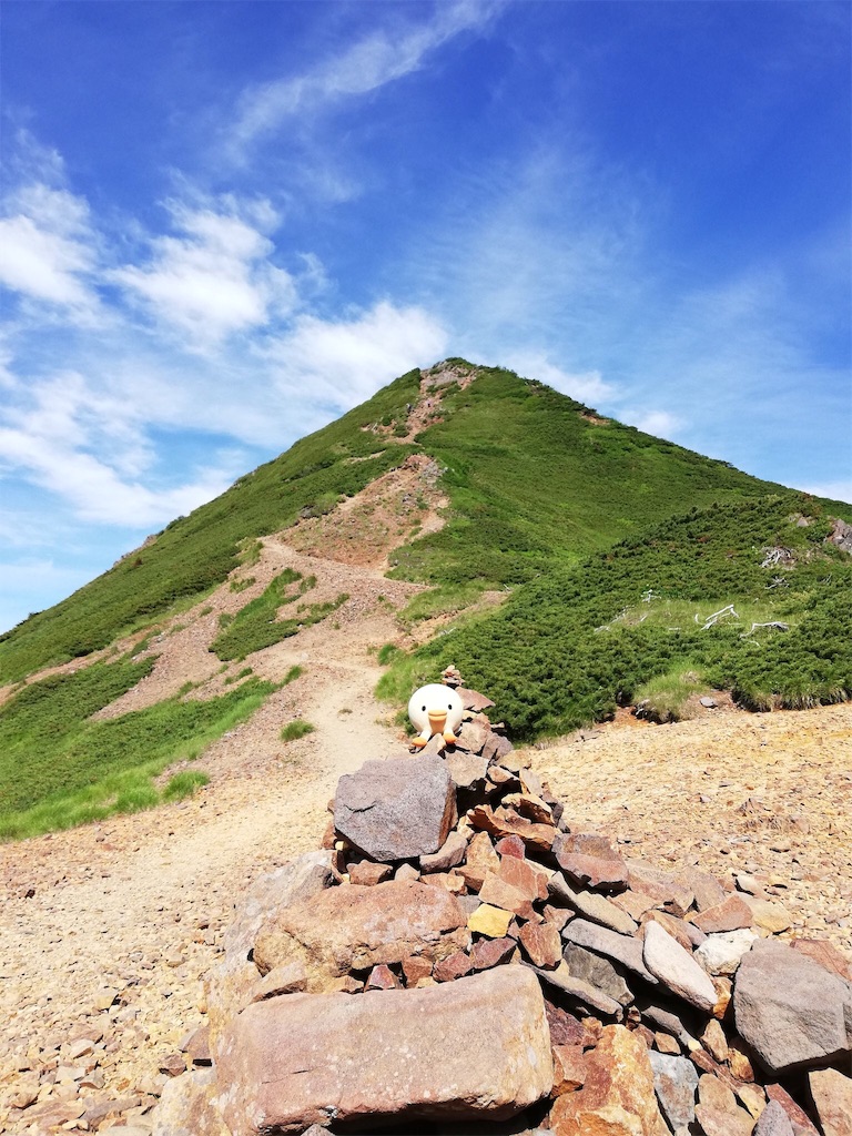 f:id:tmdrum:20180730224006j:image f:id:tmdrum:20180730224006j:image
