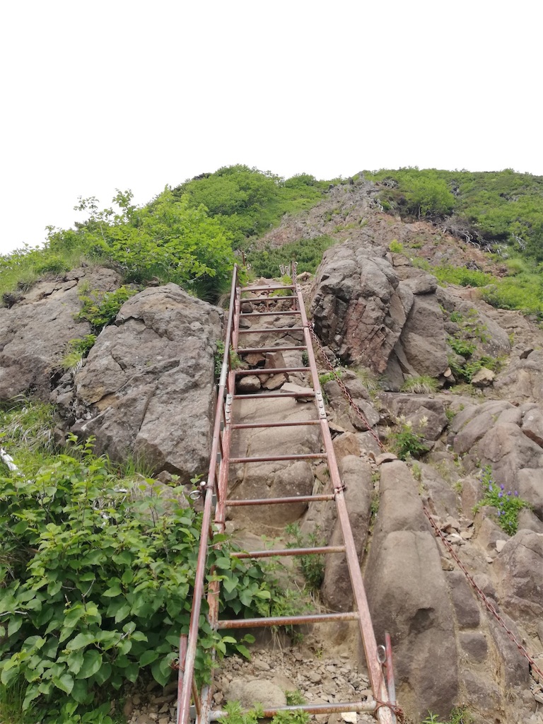 f:id:tmdrum:20180730224231j:image f:id:tmdrum:20180730224231j:image