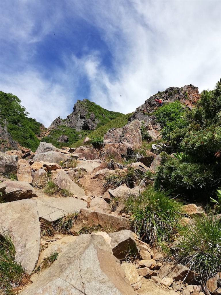 f:id:tmdrum:20180730224252j:image f:id:tmdrum:20180730224252j:image