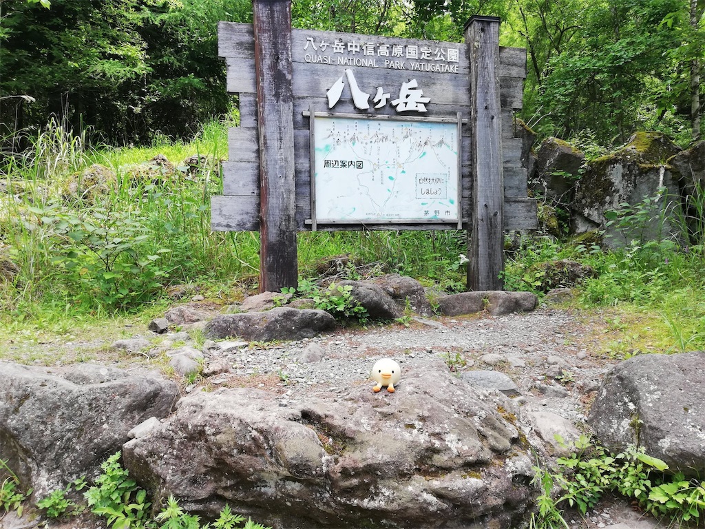 f:id:tmdrum:20180730225733j:image f:id:tmdrum:20180730225733j:image