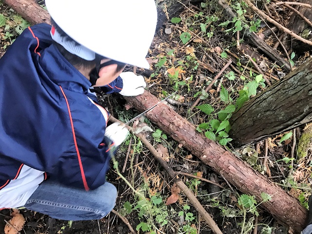 f:id:tmja:20171128122749j:plain