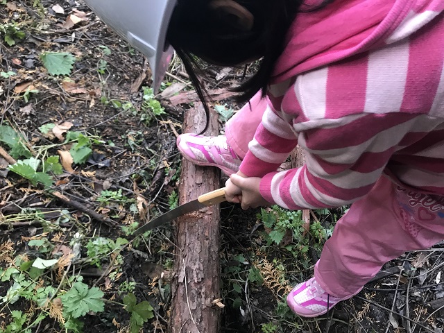 f:id:tmja:20171128122757j:plain